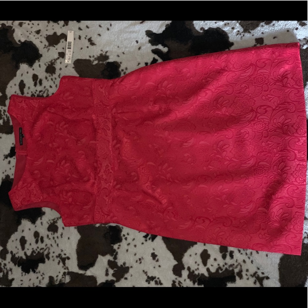 Preston & York Dress